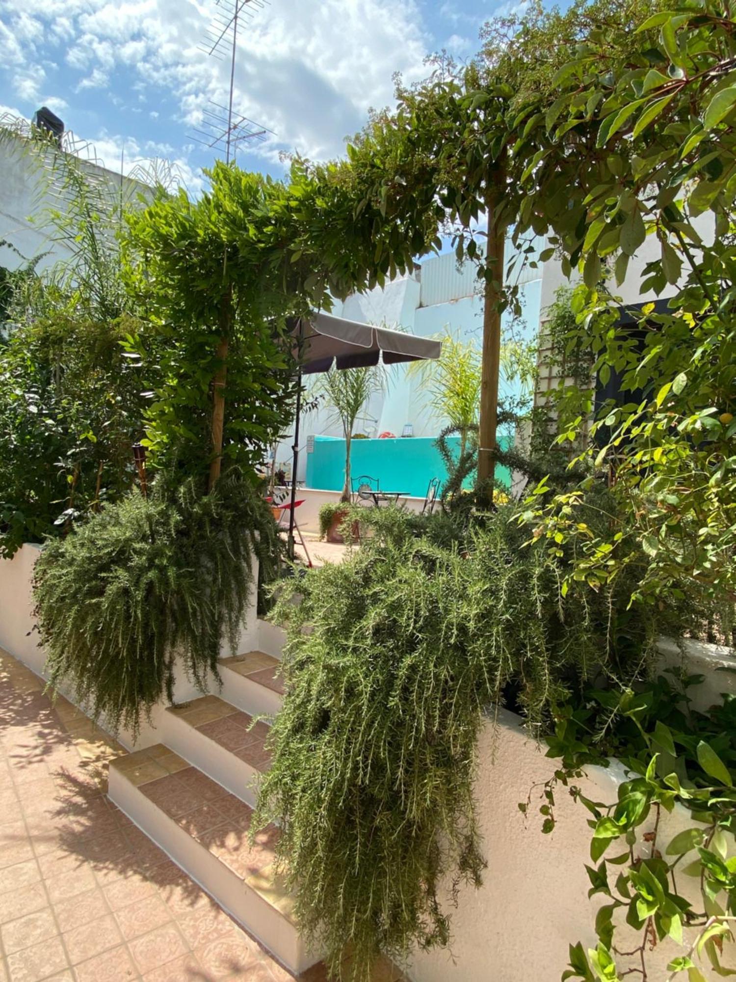 Patio Da Villa - Coruche Boutique Guest House Exterior photo
